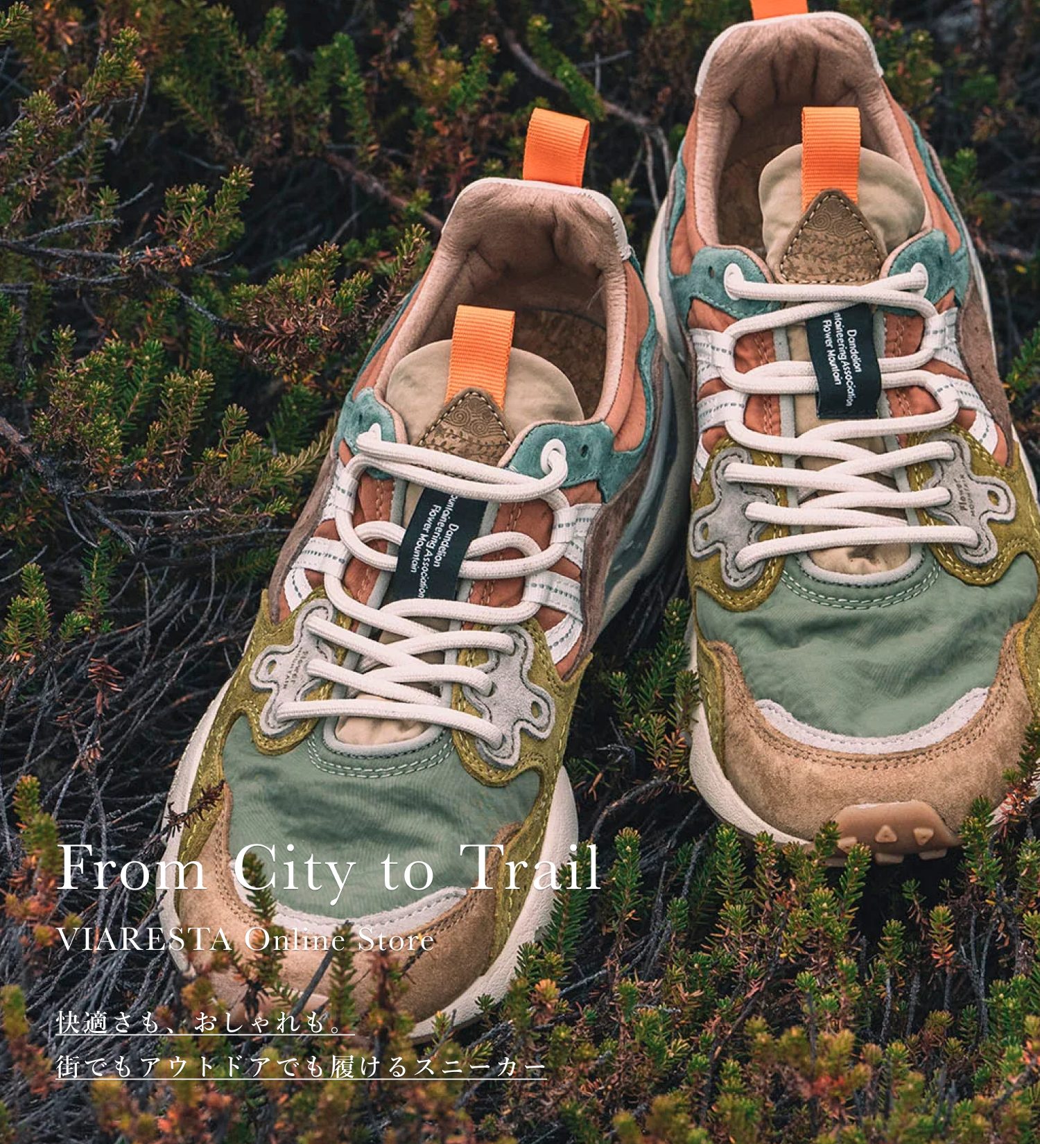 ブログ記事写真